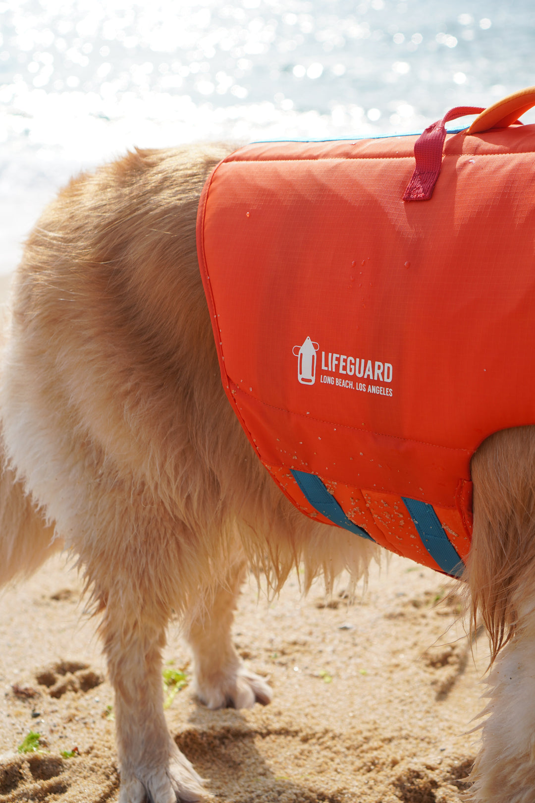 PAWSAVER LIFE JACKET