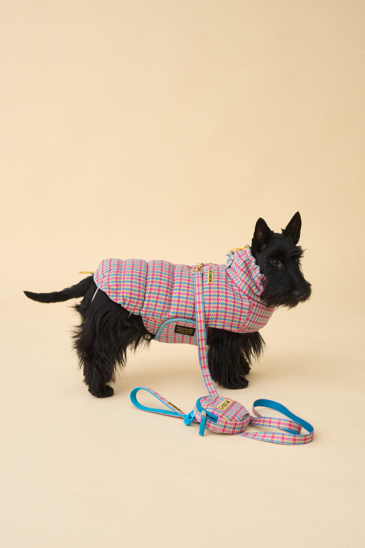 ギャラリー画像