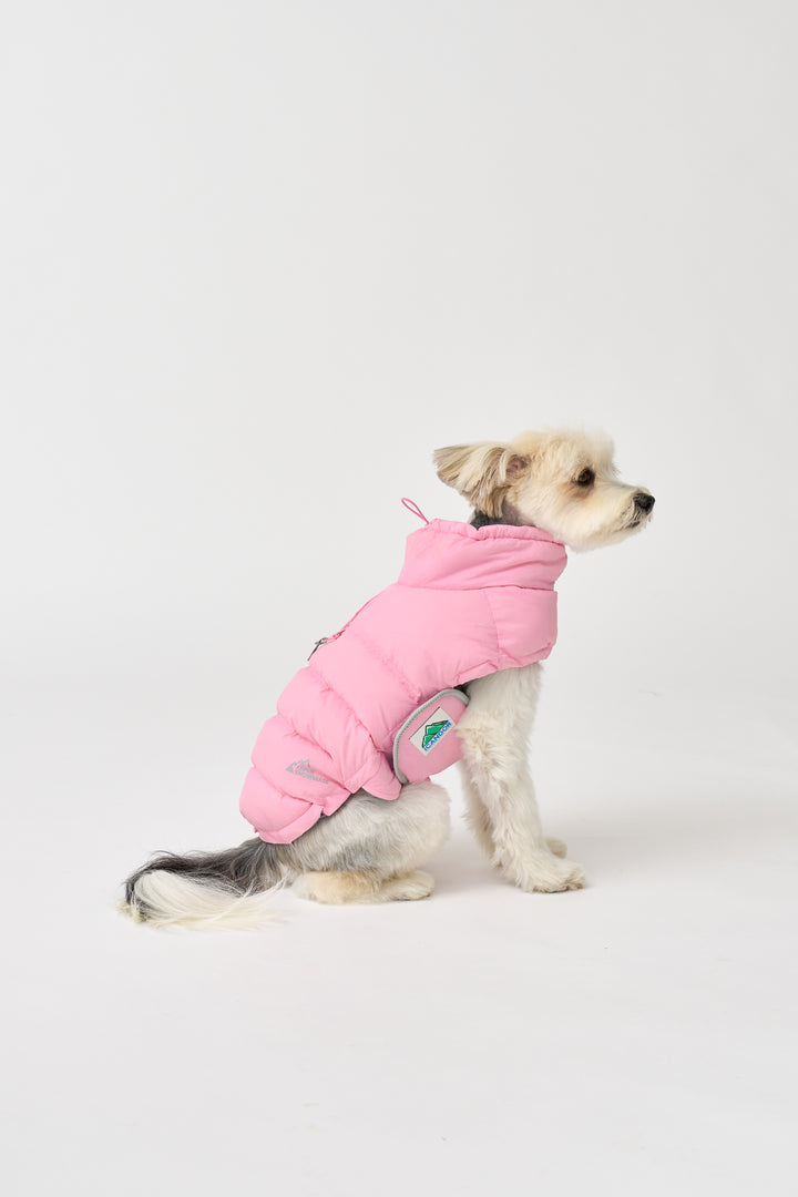 ギャラリー画像