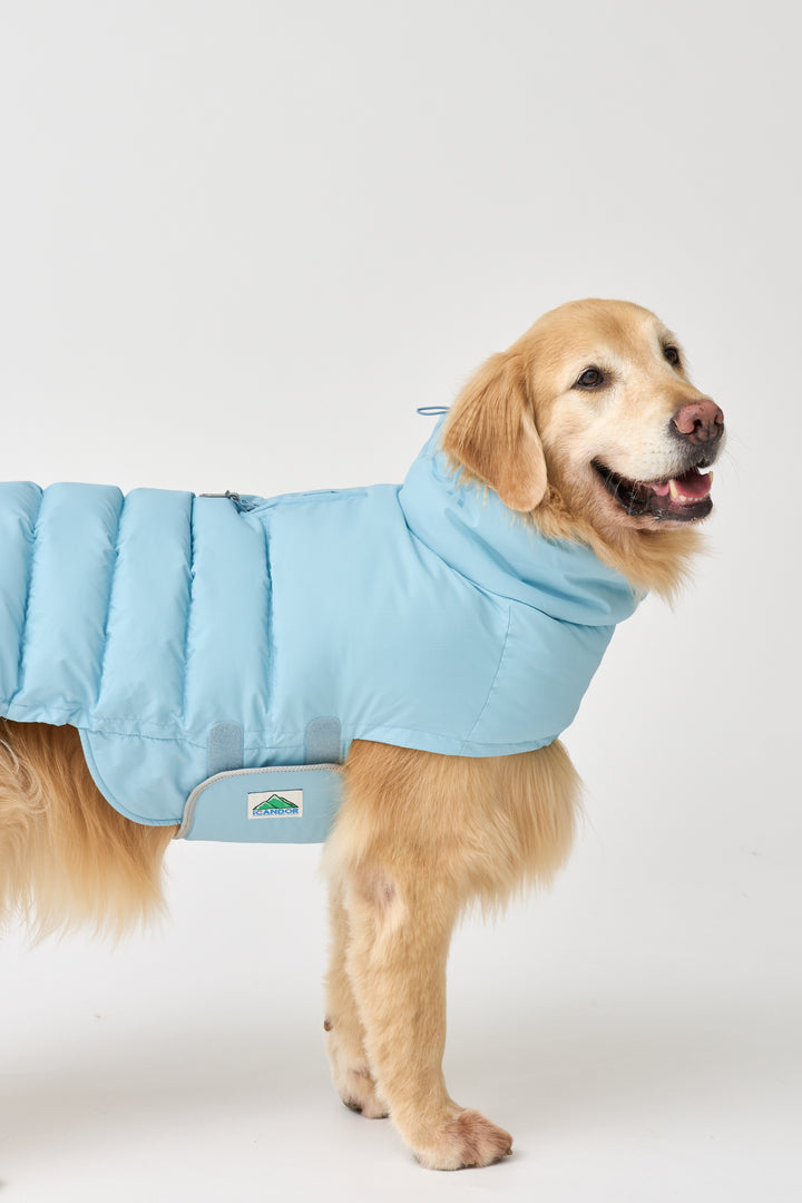 ギャラリー画像