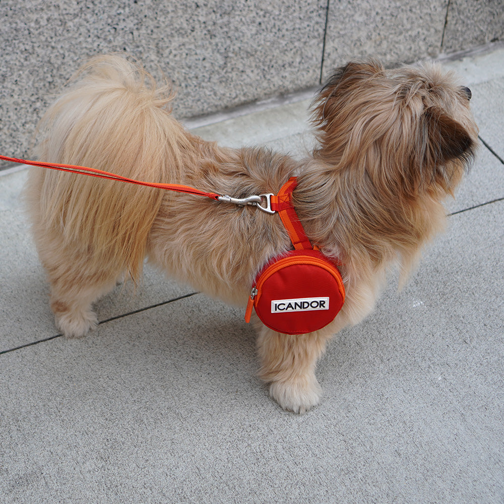 No-Pull Harness_Sunset