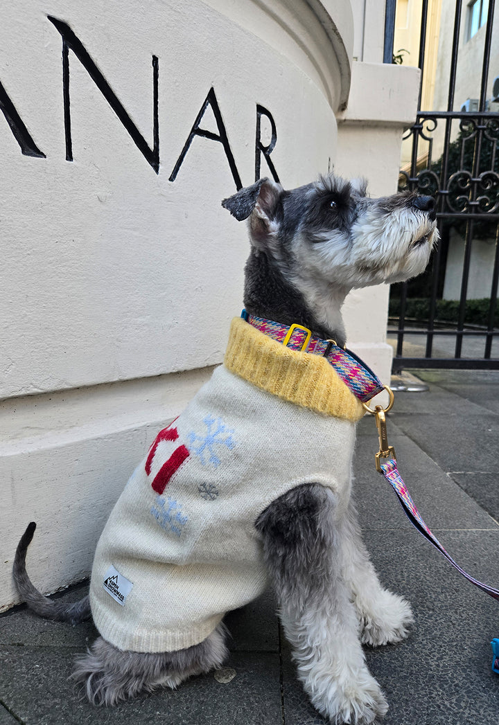 ギャラリー画像