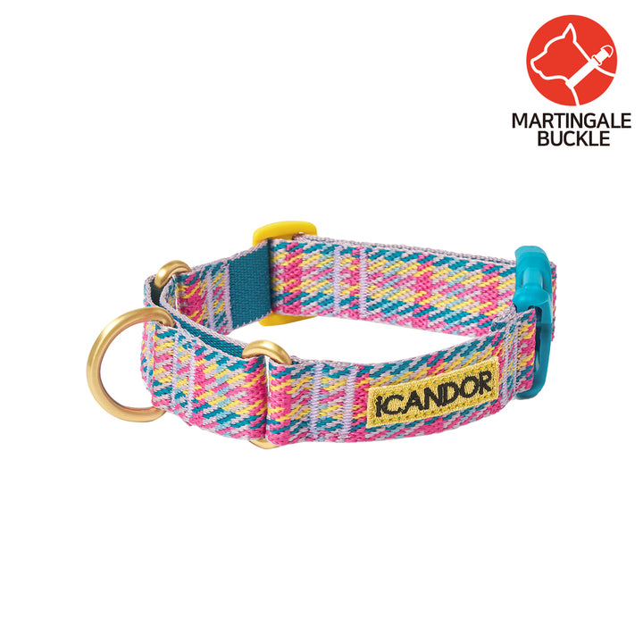 Martingale Collar, Buckle_Edinburgh Check