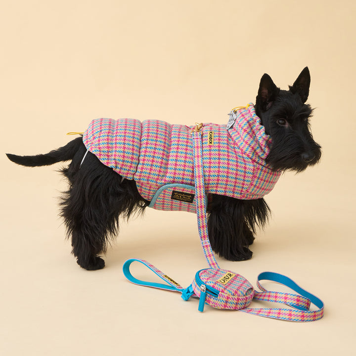 サーモ3、エディンバラチェック_キャンディタータン