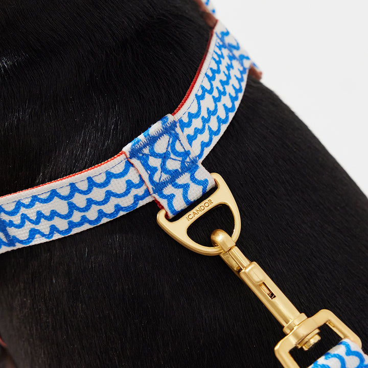 No-Pull Harness_Surfrider