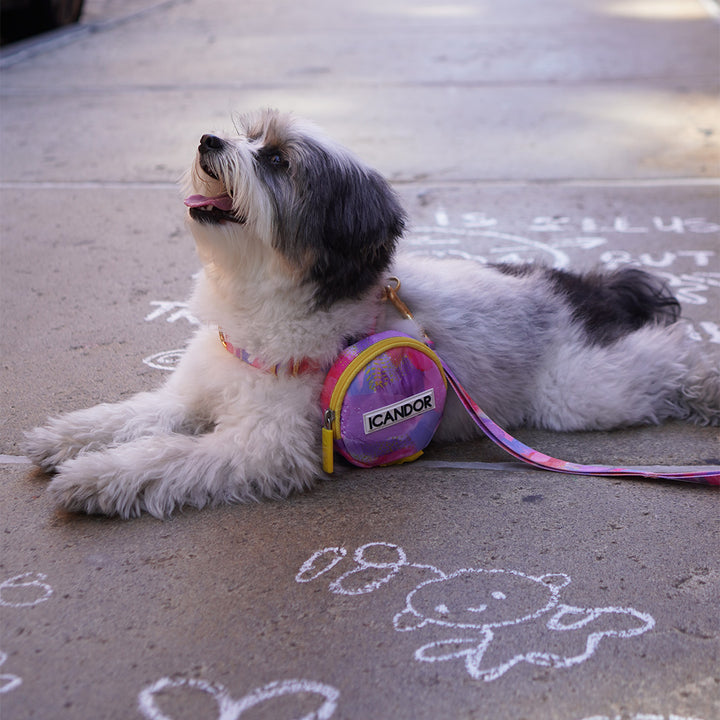 No-Pull Harness_Milky Way