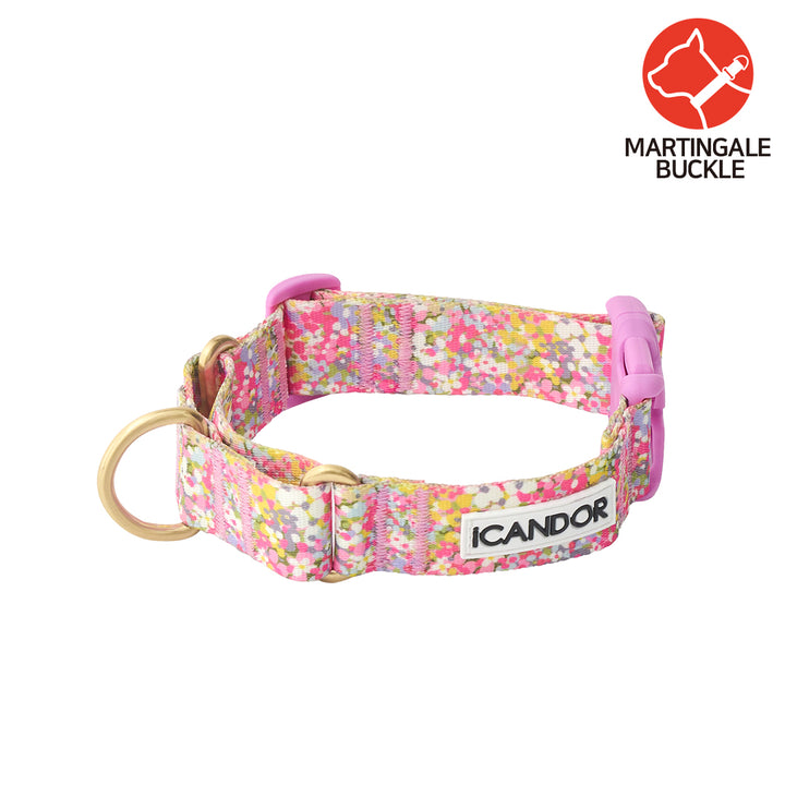 Martingale Collar, Buckle_Flora