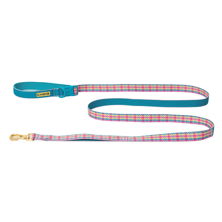 Gentle Leash Bolt_Edinburgh Check