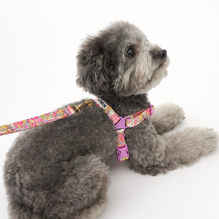 No-Pull Harness_Flora