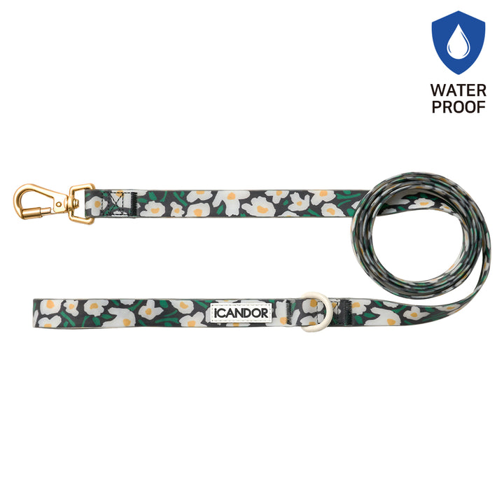 Capri Waterproof Leash_Big Fish