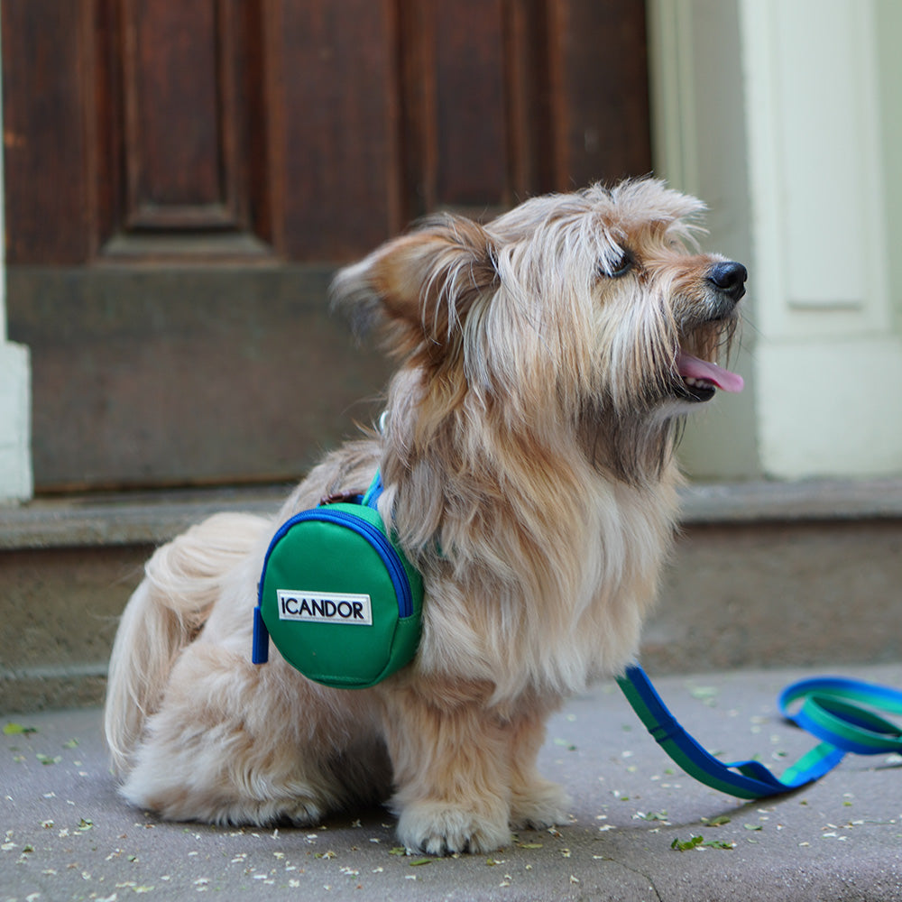 No-Pull Harness_Forest