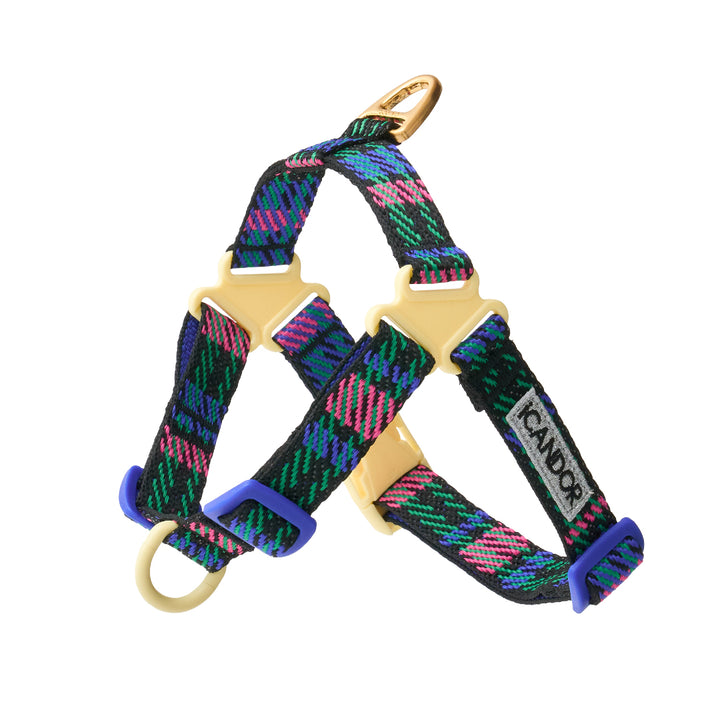 No-Pull Harness_Urban Checks