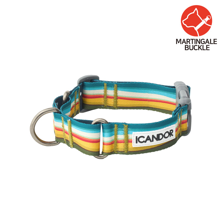 Martingale Collar, Buckle_Ripple