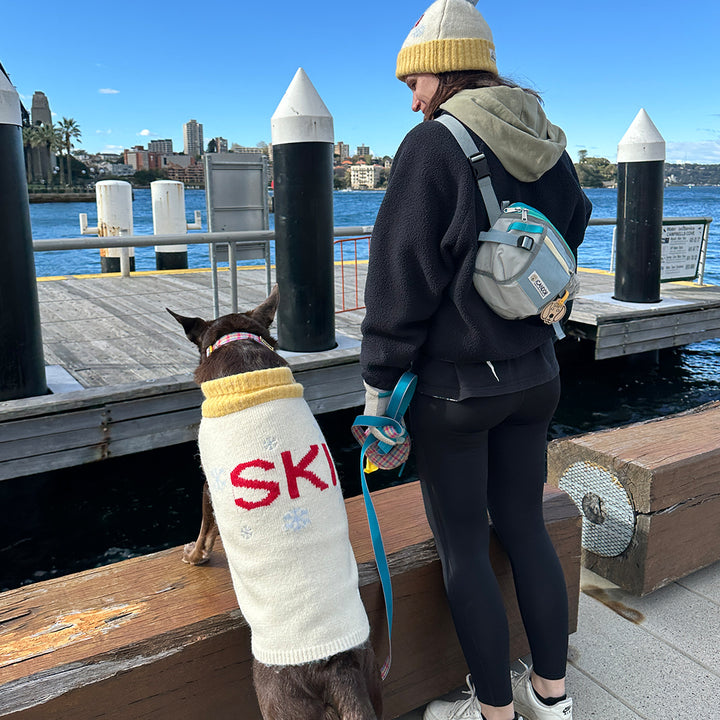 アスペン・ウーリーズ・スキー