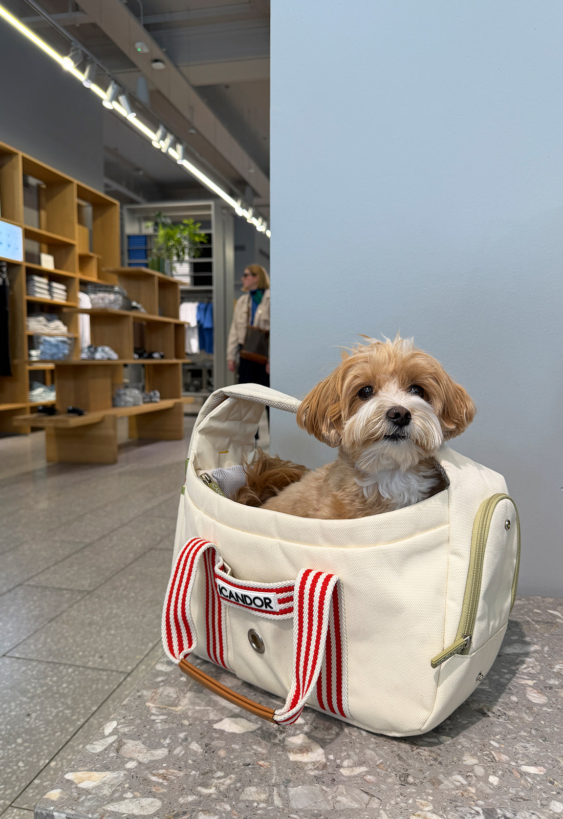 Peek-A-Boo Bag_Capri Edition – iCANDOR