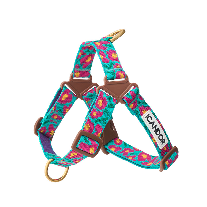 No-Pull Harness_Big Fish Mint