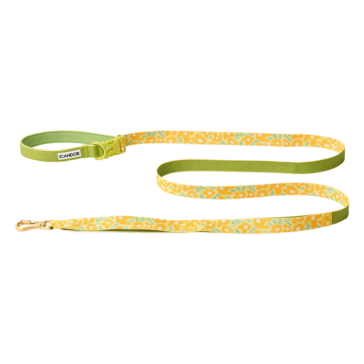 Gentle Leash Bolt_Big Fish Yellow