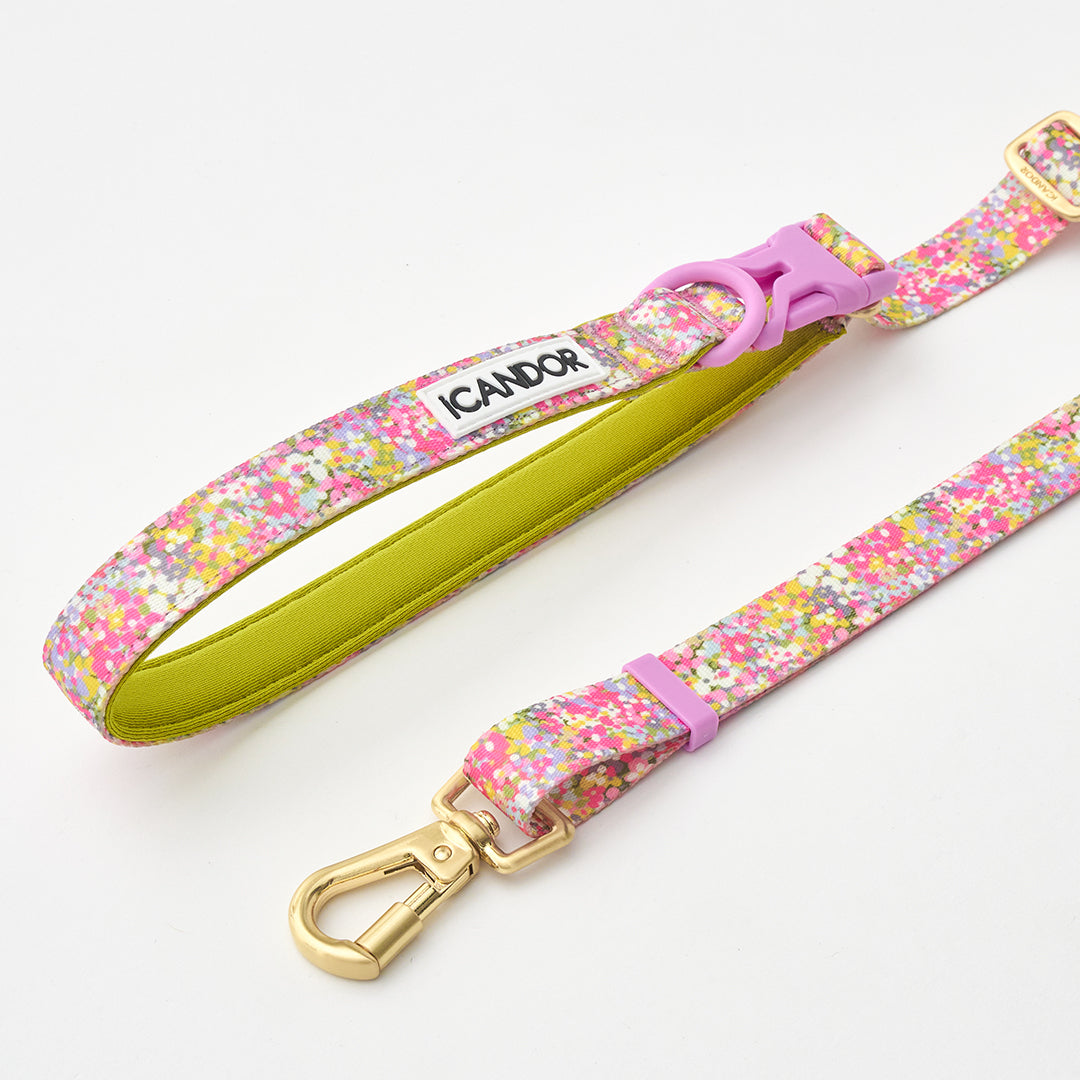 Gentle Leash Bolt, Long_Flora