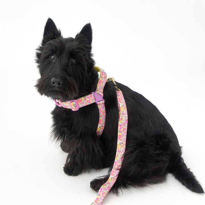 No-Pull Harness_Flora