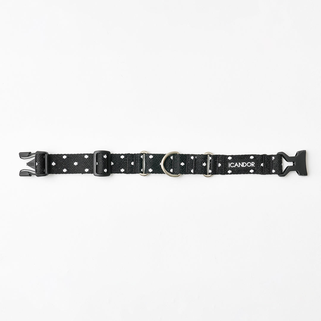 Martingale Collar, Buckle_Polka Dot