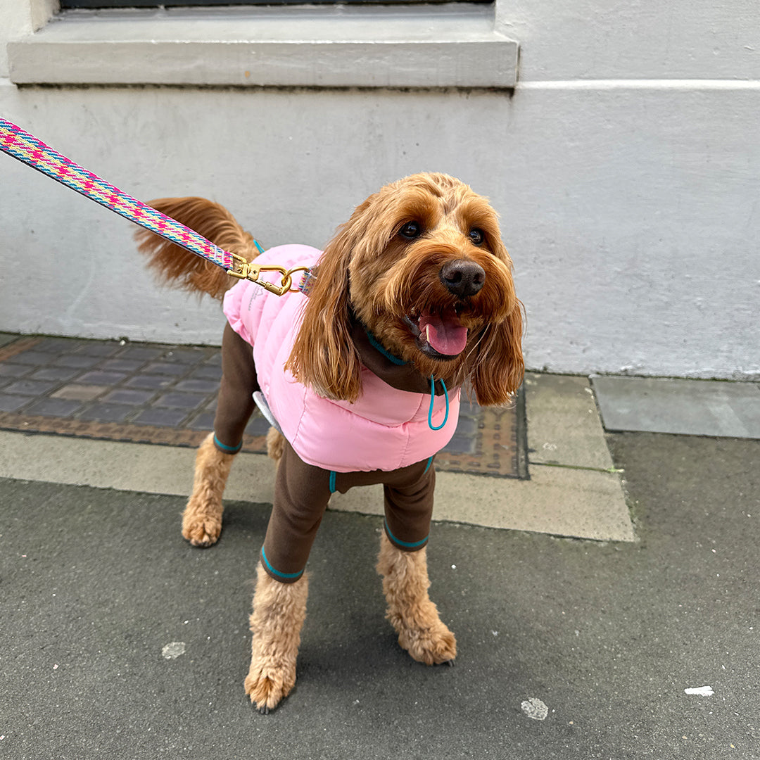 サーモ3 アドベンチャーパーカー_ソルティピンク