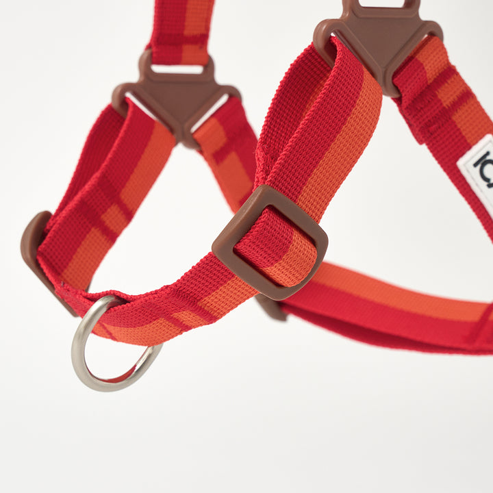 No-Pull Harness_Sunset