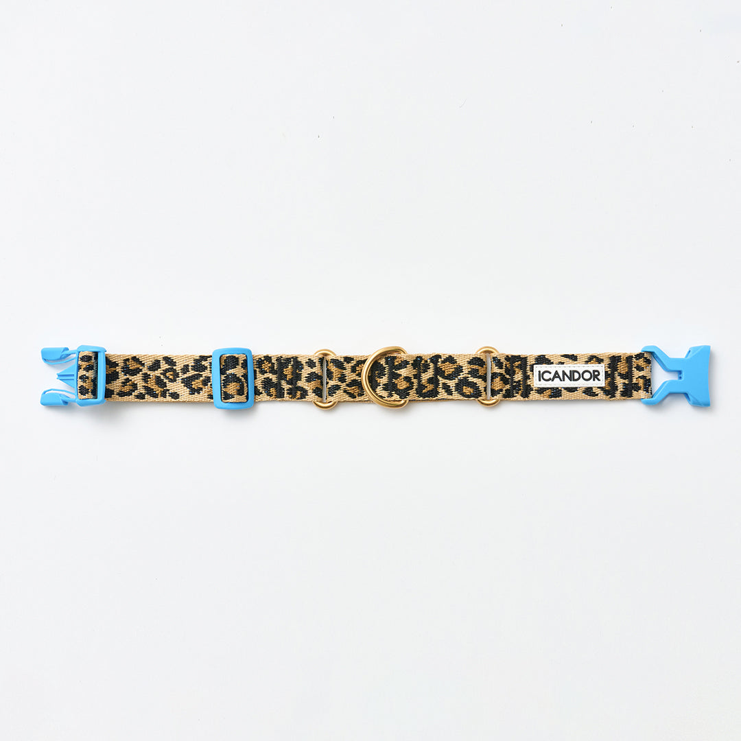 Martingale Collar, Buckle_Leopard