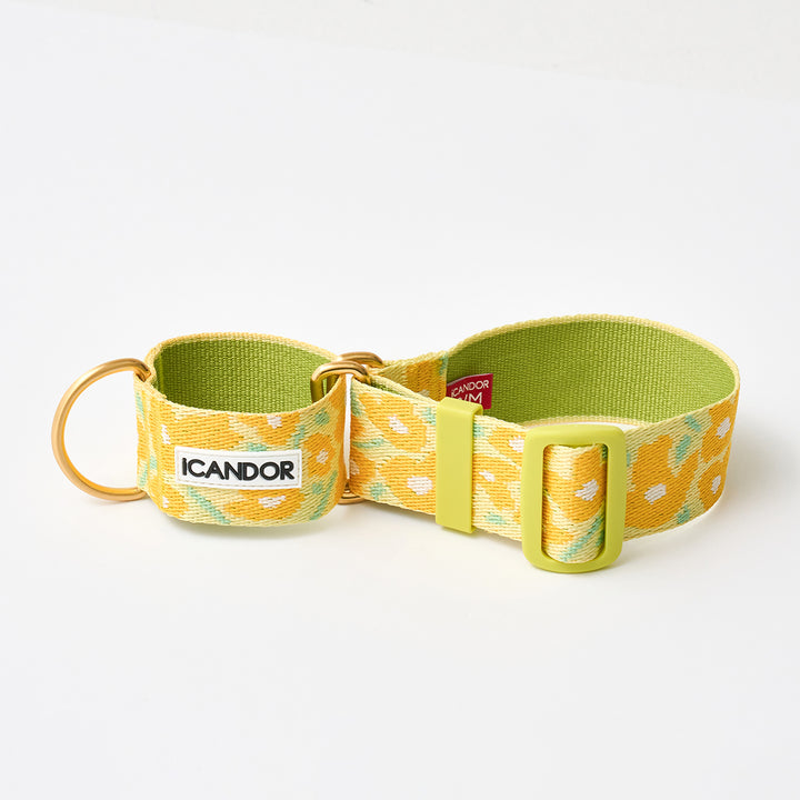 Smooth Martingale Collar 38mm_Big Fish Yellow