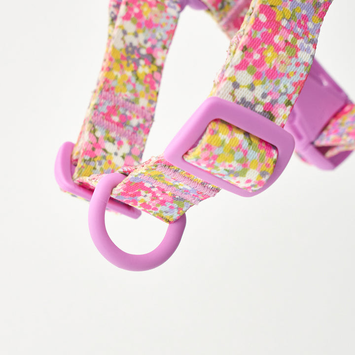 No-Pull Harness_Flora