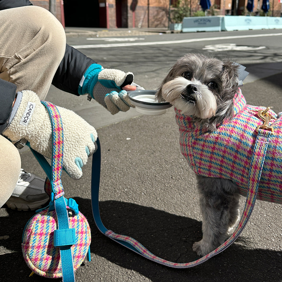 グリップマスター アドベンチャーグローブ_クリームミント