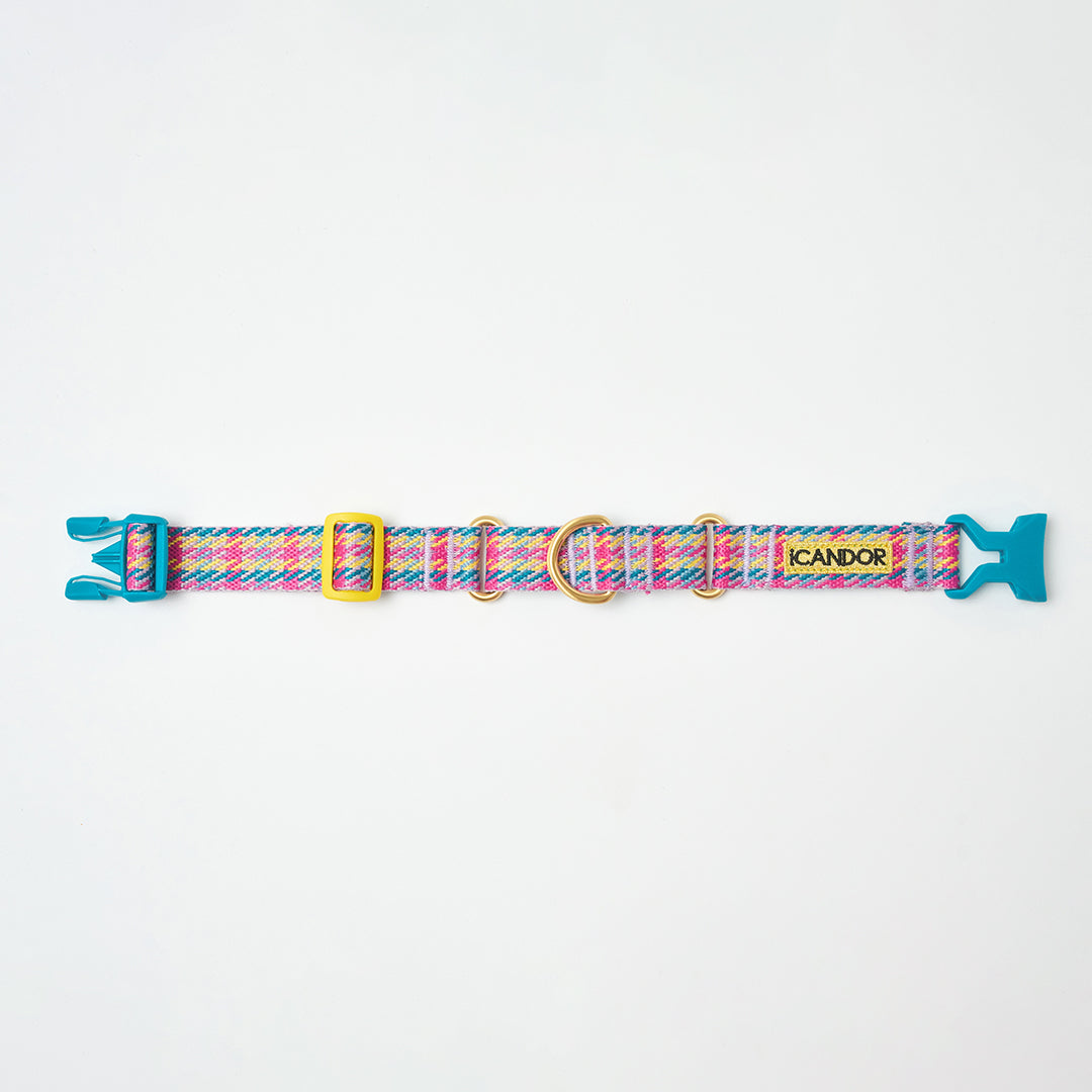 Martingale Collar, Buckle_Edinburgh Check