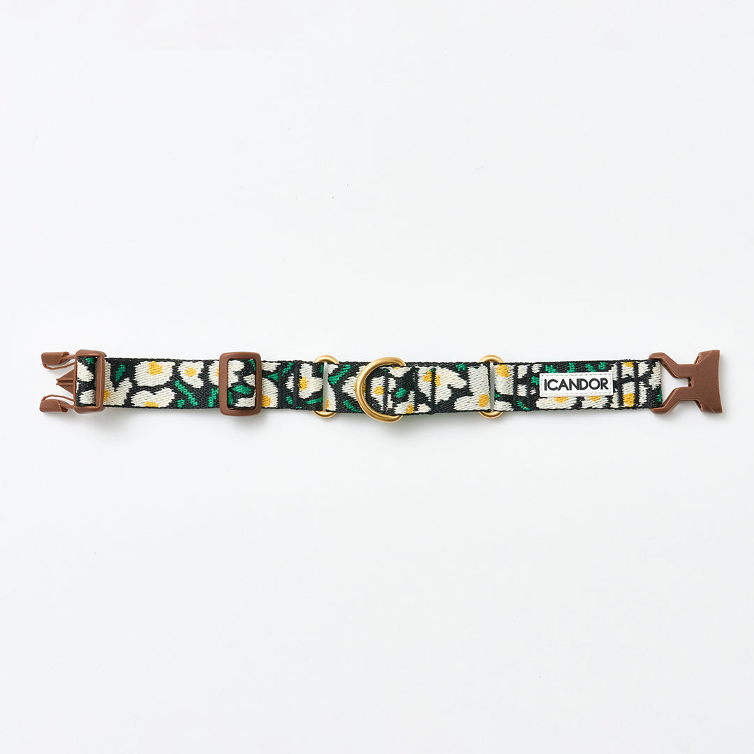 Martingale Collar, Buckle_Big Fish