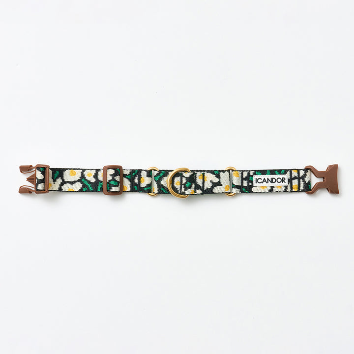 Martingale Collar, Buckle_Big Fish