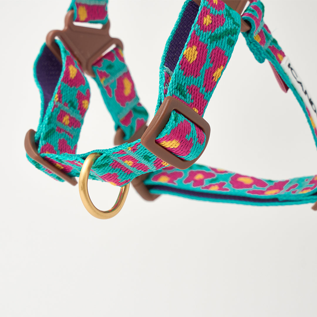 No-Pull Harness_Big Fish Mint