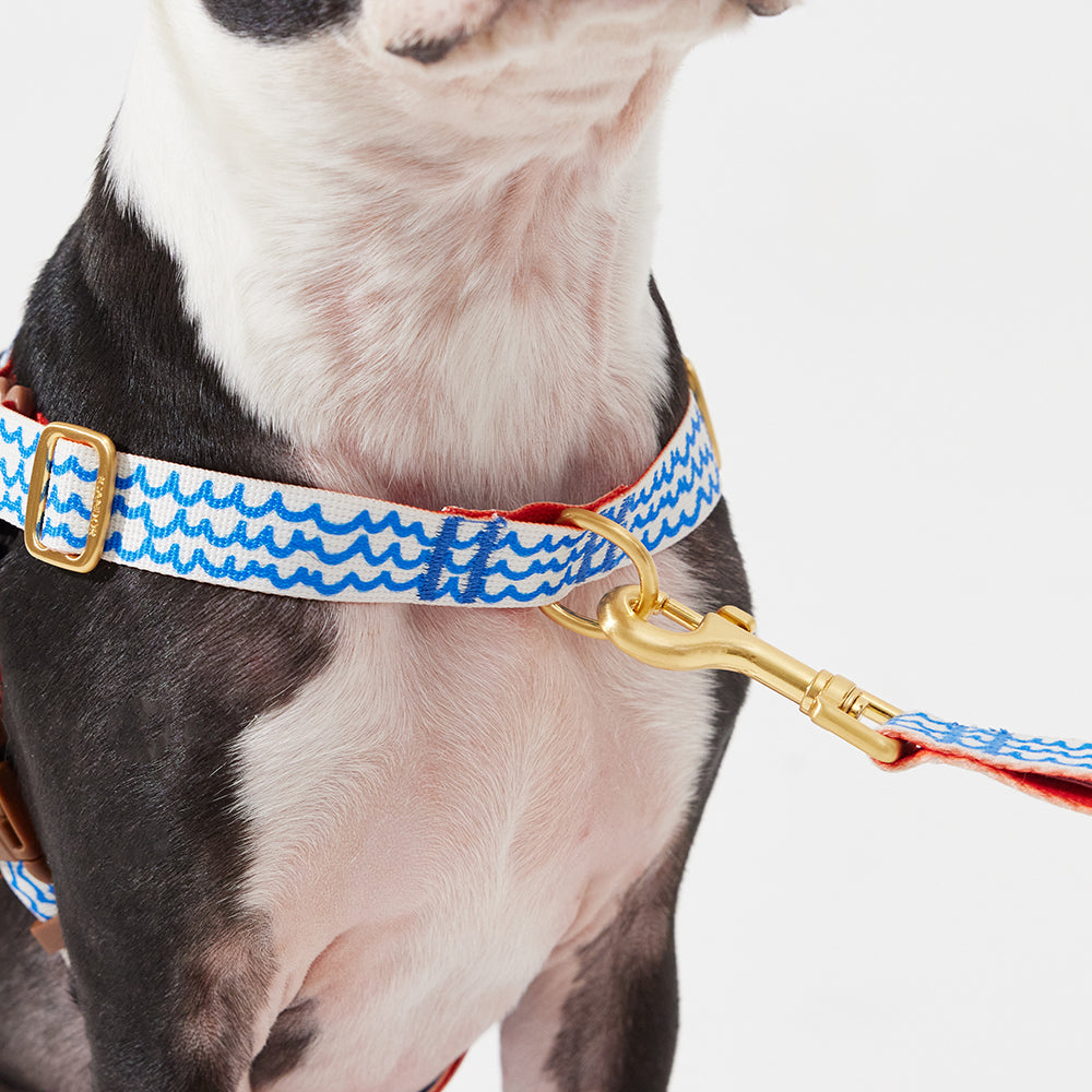 No-Pull Harness_Surfrider