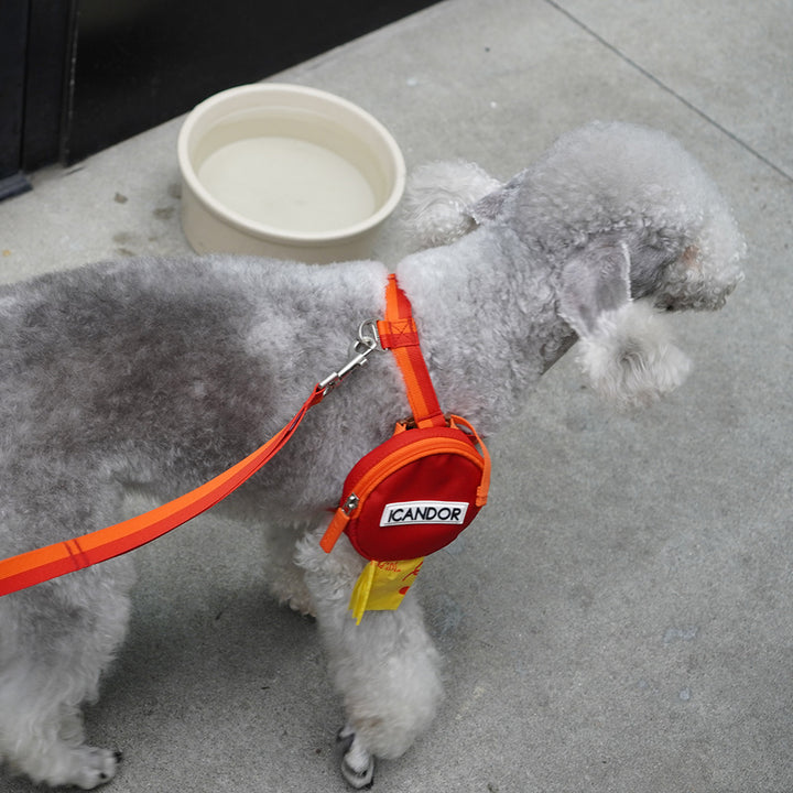 No-Pull Harness_Sunset