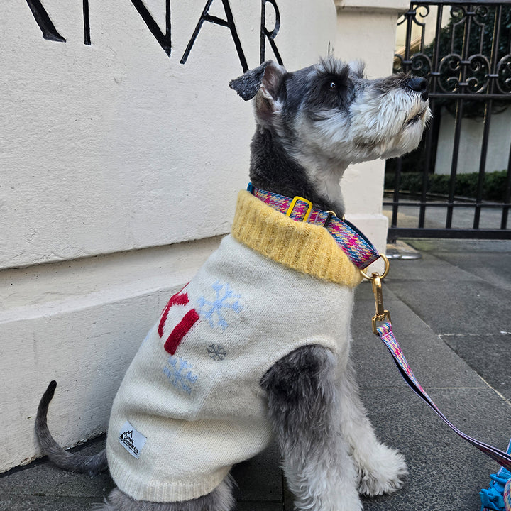 アスペン・ウーリーズ・スキー