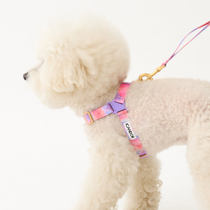 No-Pull Harness_Milky Way