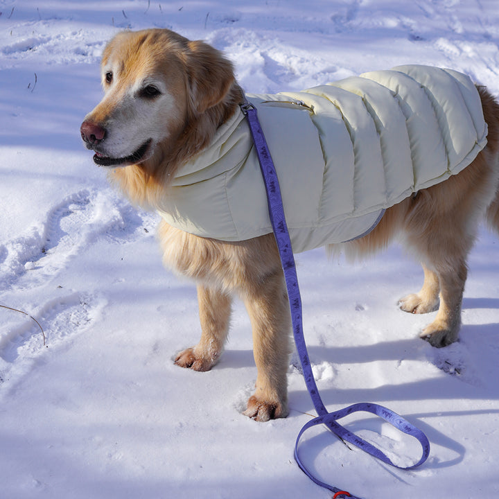 サーモ3、アドベンチャーパーカー_クリーミーバター