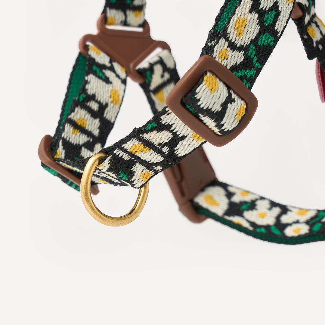 No-Pull Harness_Big Fish