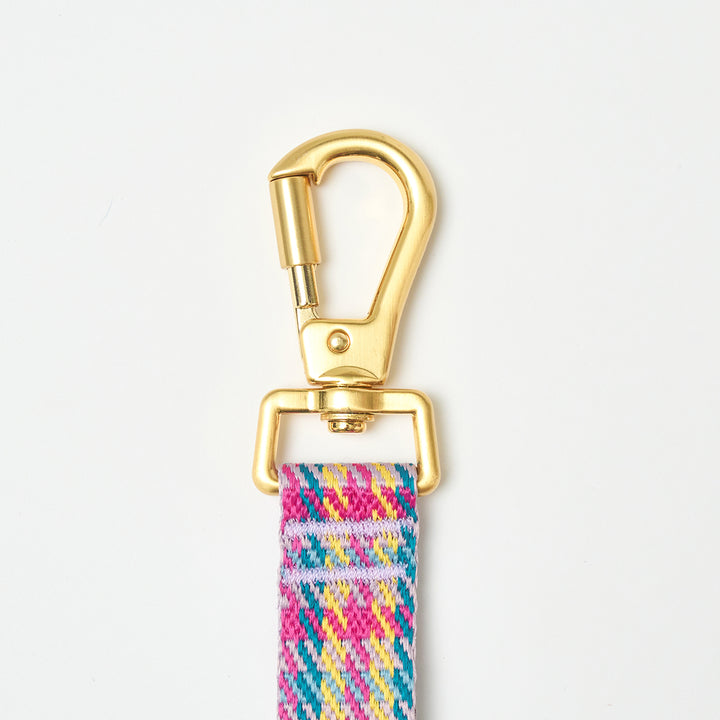 Gentle Leash Bolt_Edinburgh Check