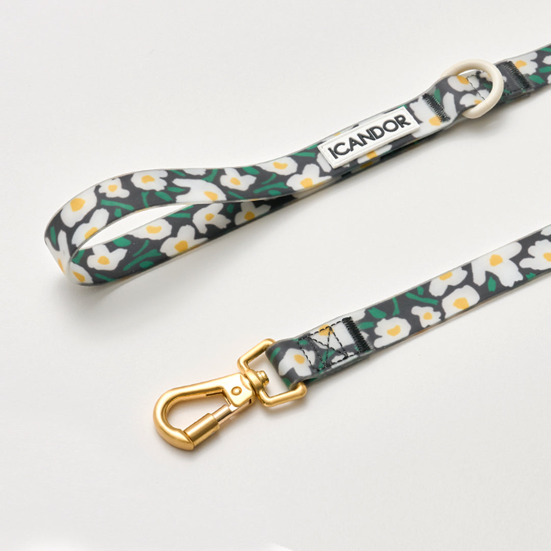 Capri Waterproof Leash_Big Fish