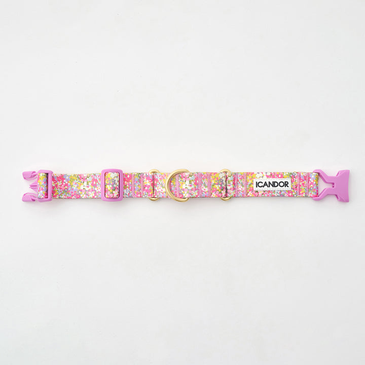 Martingale Collar, Buckle_Flora