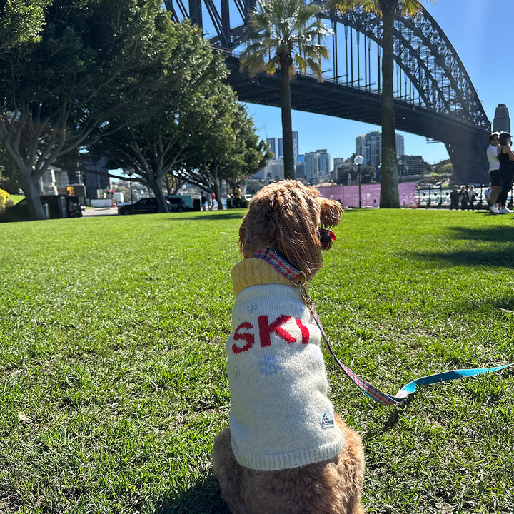 アスペン・ウーリーズ・スキー