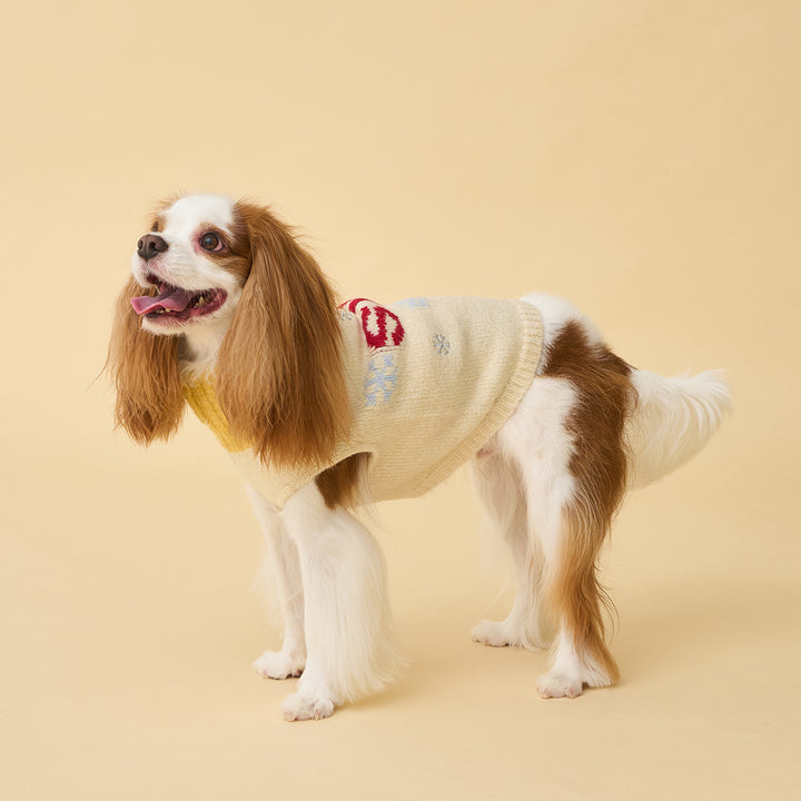 アスペン・ウーリーズ・スキー