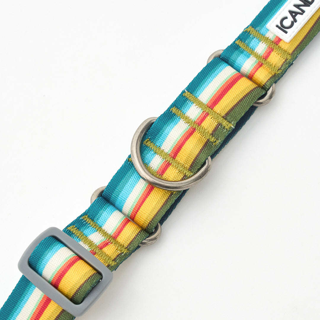 Martingale Collar, Buckle_Ripple