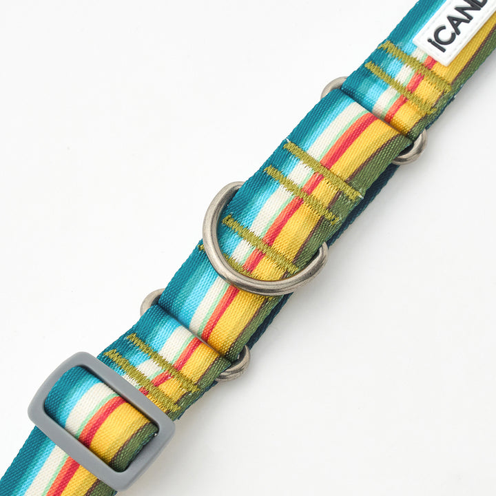 Martingale Collar, Buckle_Ripple