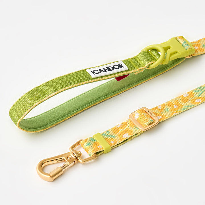 Gentle Leash Bolt, Long_Big Fish Yellow