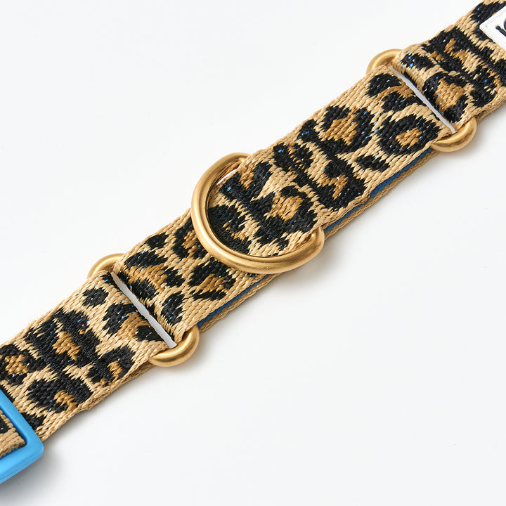 Martingale Collar, Buckle_Leopard