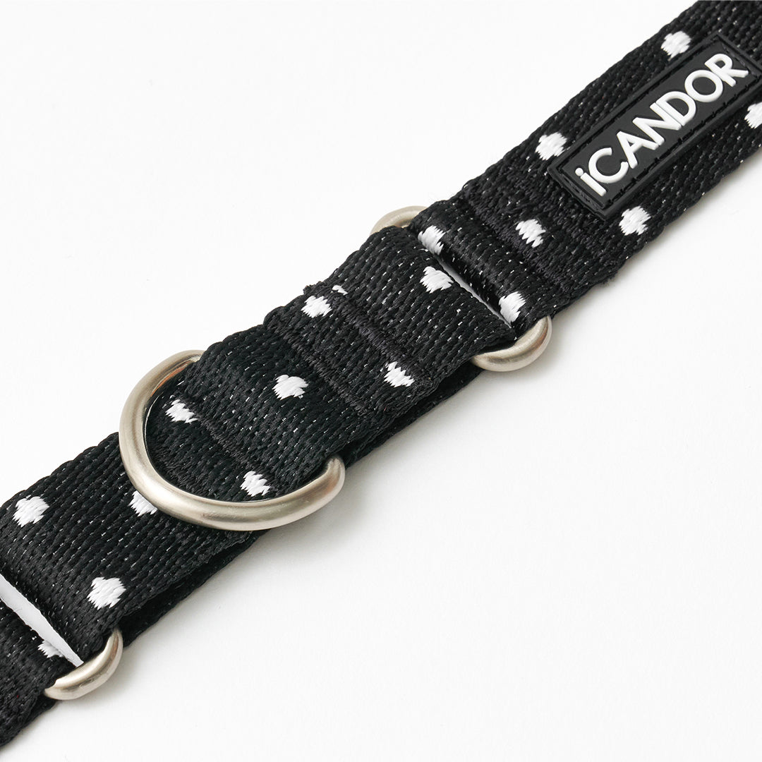 Martingale Collar, Buckle_Polka Dot